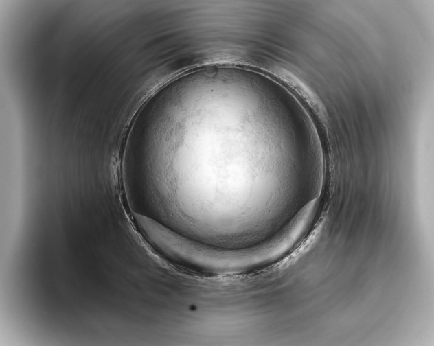 X0000093740993200710161135
