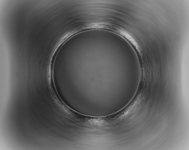 X0000093740994200710161135
