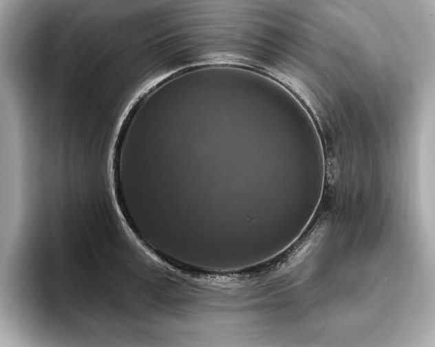 X0000093740995200710161135