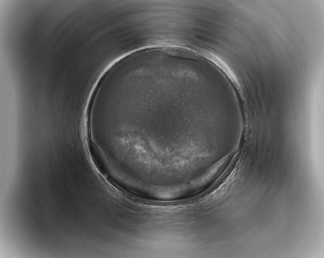 X0000093740996200710161135