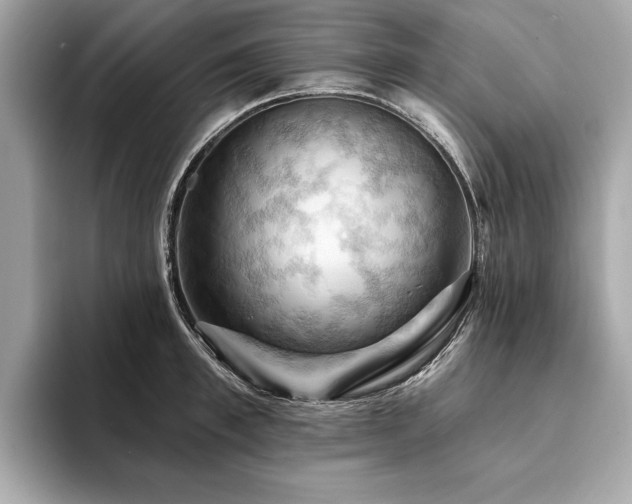 X0000093740997200710161135