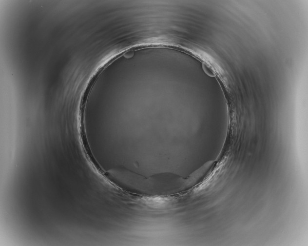 X0000093740998200710161135