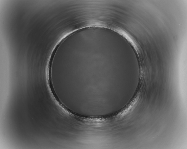 X0000093740999200710161135