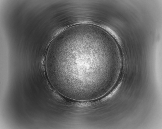 X0000093741001200710161135