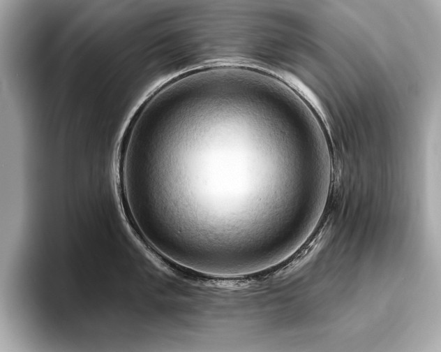 X0000093741005200710161135