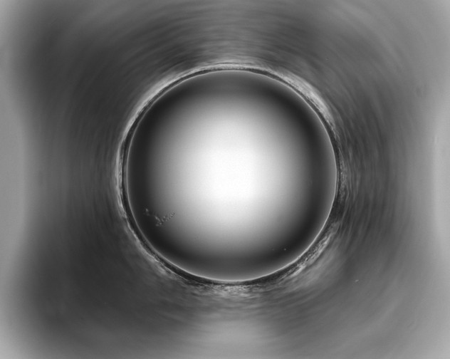 X0000093741006200710161135