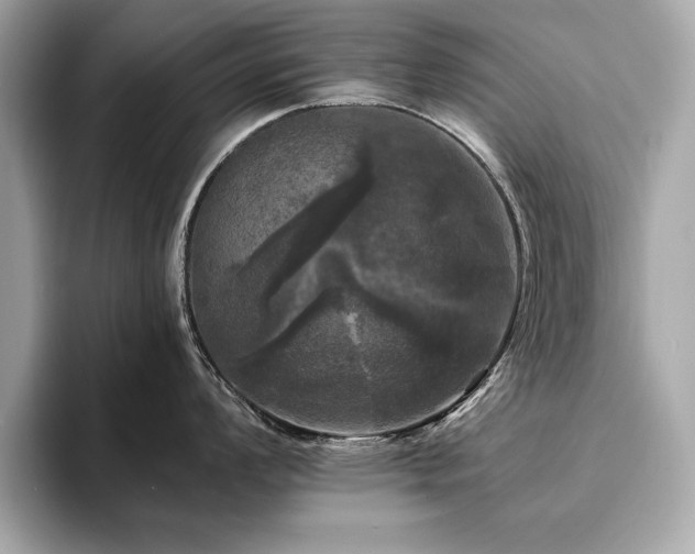 X0000093741008200710161135
