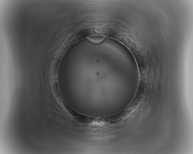 X0000093741009200710161135