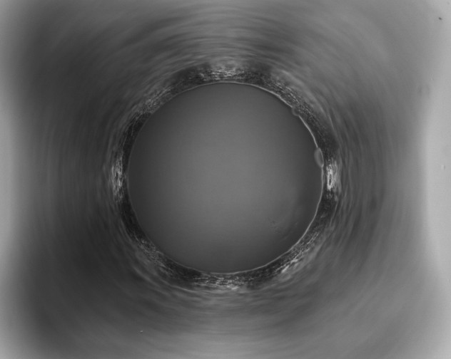 X0000093741011200710161135