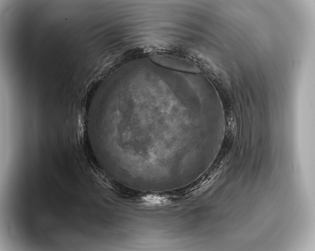 X0000093741012200710161135