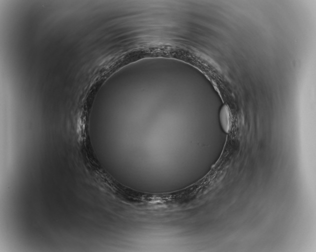 X0000093741013200710161135