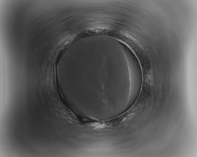 X0000093741014200710161135