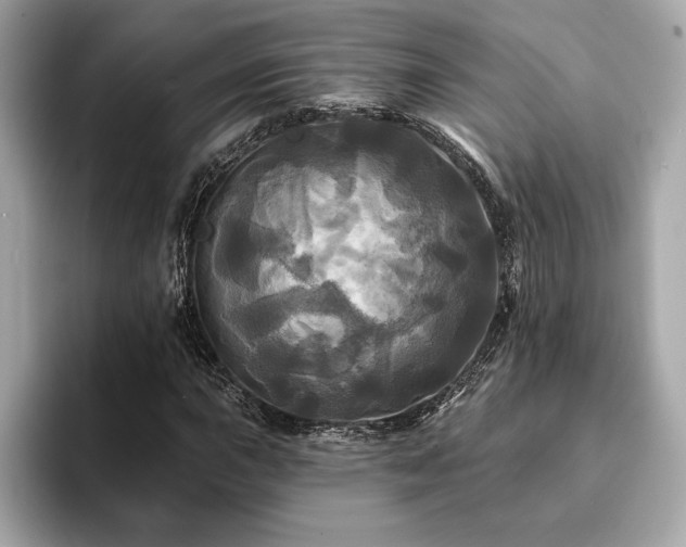 X0000093741015200710161135
