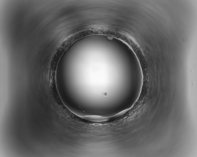 X0000093741016200710161135