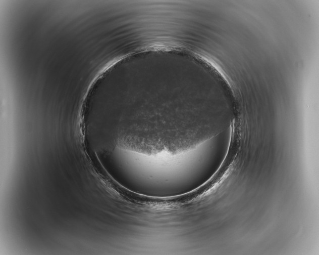 X0000093741018200710161135