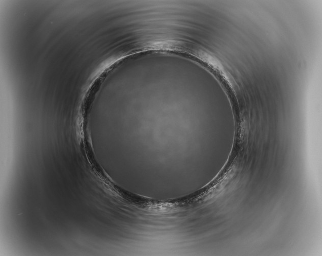 X0000093741019200710161135