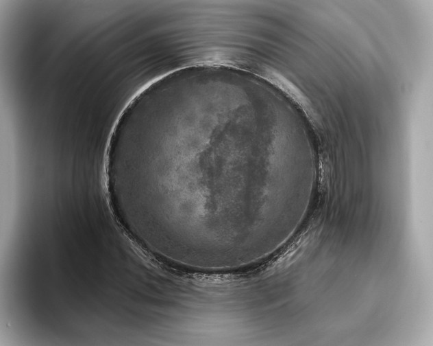 X0000093741020200710161135