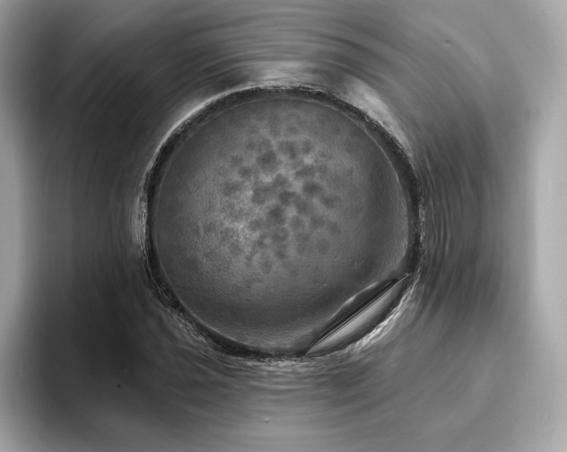 X0000093741021200710161135