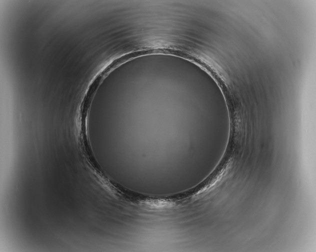 X0000093741023200710161135