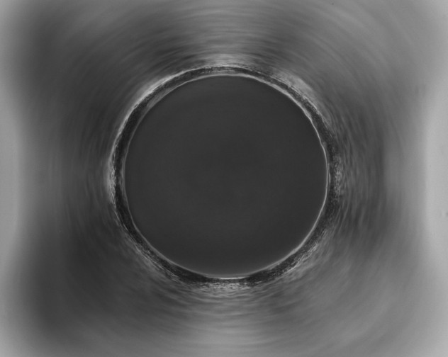 X0000093741024200710161135