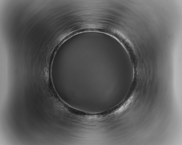 X0000093741025200710161135