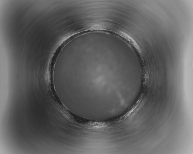 X0000093741027200710161135