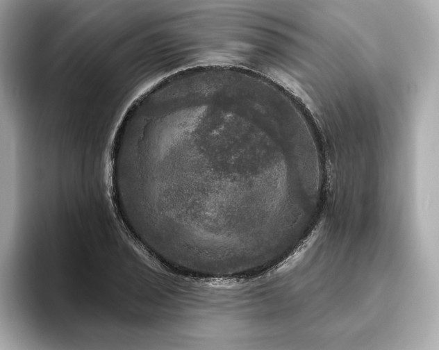 X0000093741029200710161135