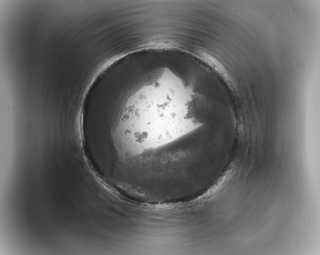 X0000093741030200710161135