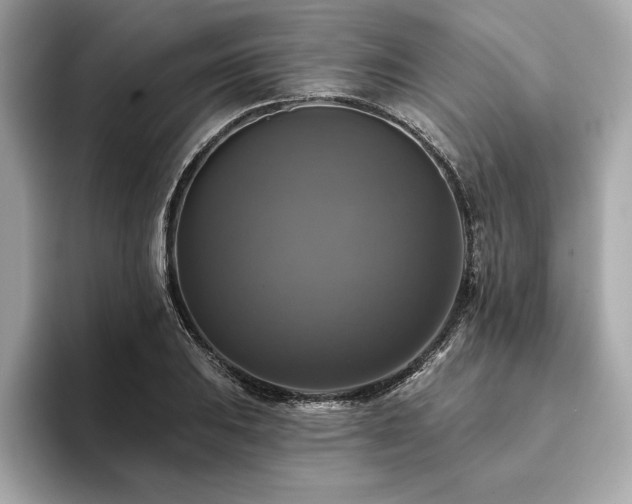 X0000093741031200710161135