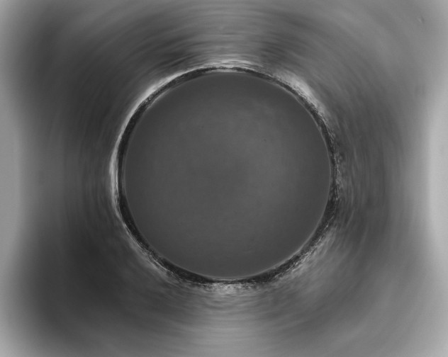 X0000093741032200710161135