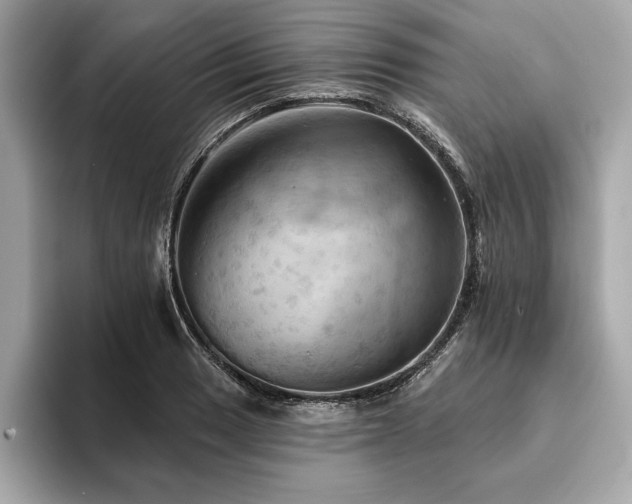 X0000093741033200710161135