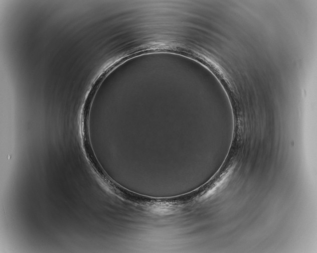 X0000093741034200710161135