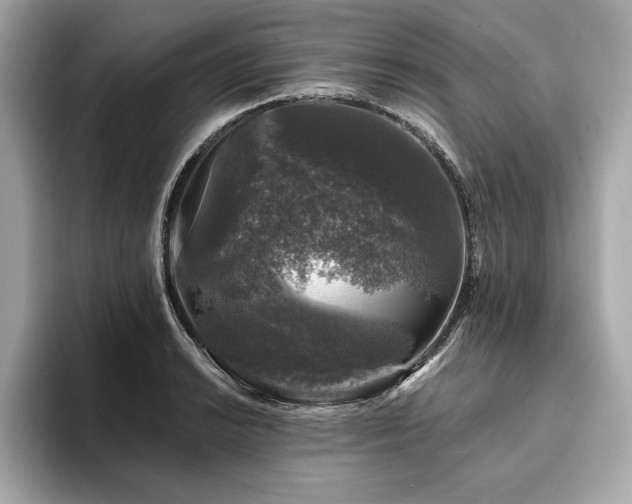 X0000093741038200710161135