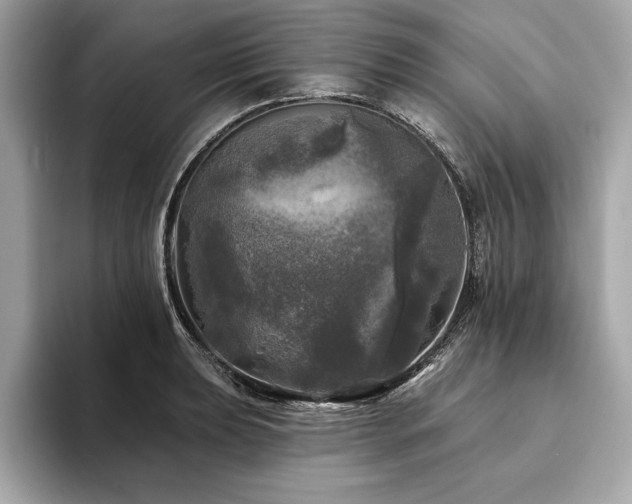 X0000093741039200710161135