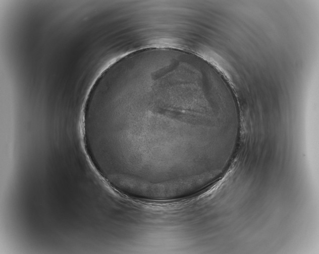 X0000093741040200710161135