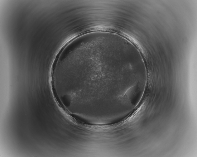 X0000093741042200710161135