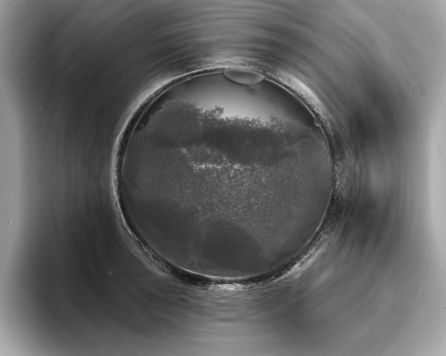 X0000093741043200710161135