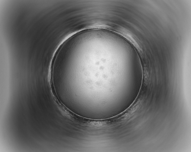 X0000093741044200710161135
