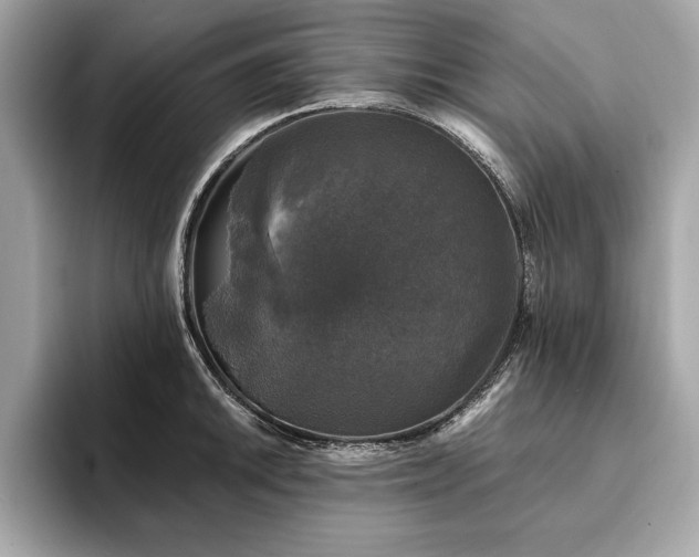 X0000093741046200710161135
