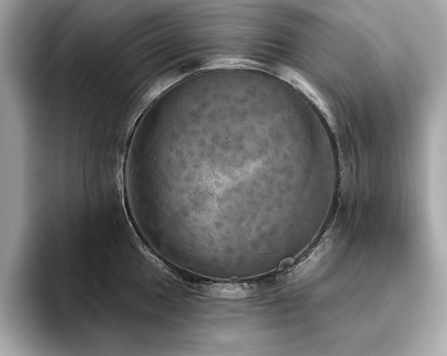 X0000093741049200710161135