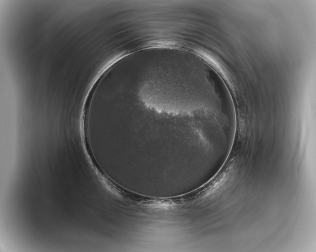 X0000093741050200710161135