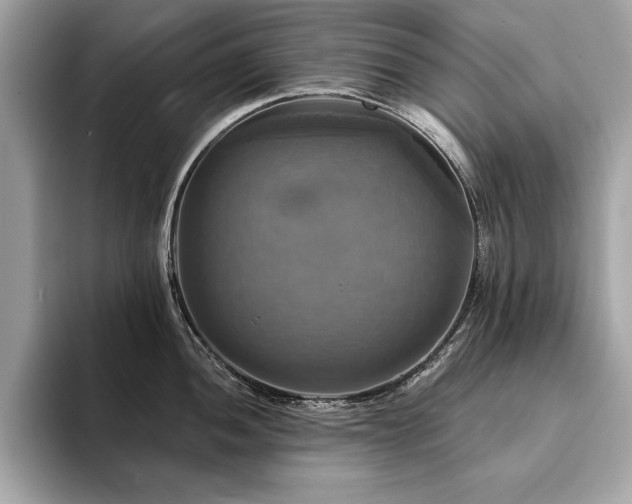 X0000093741052200710161135