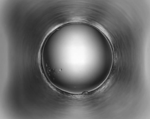 X0000093741053200710161135