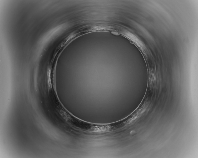 X0000093741055200710161135