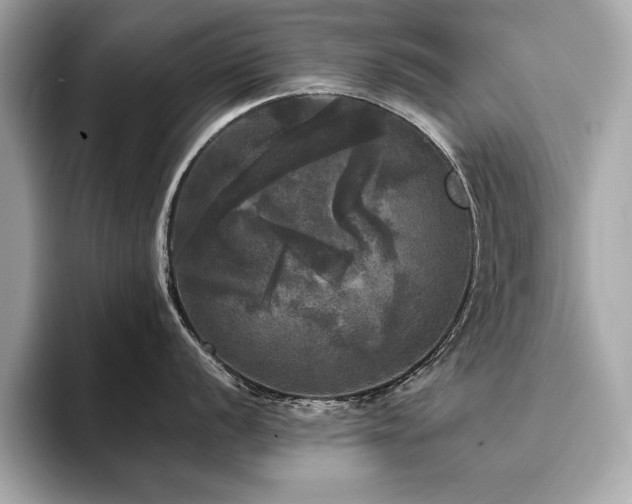 X0000093741056200710161135