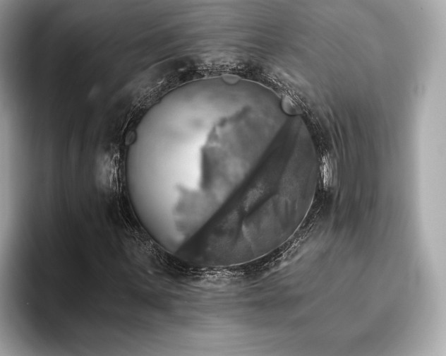 X0000093741059200710161135