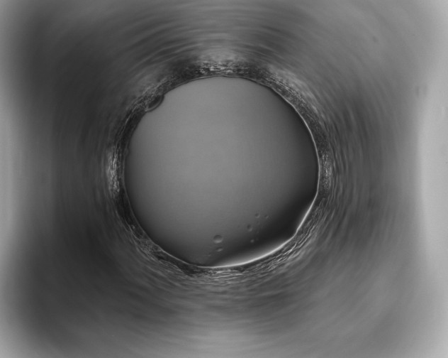 X0000093741060200710161135