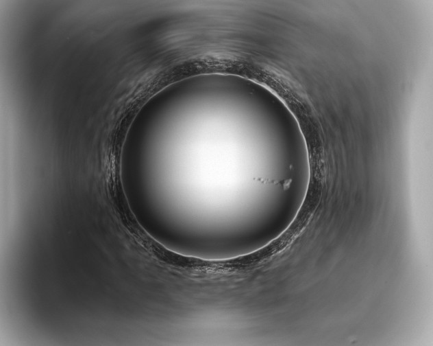 X0000093741061200710161135