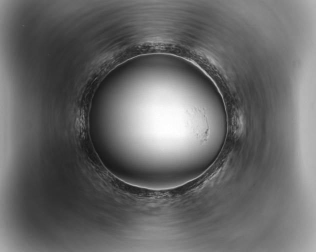 X0000093741062200710161135