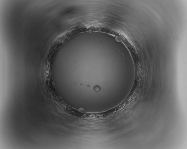 X0000093741063200710161135